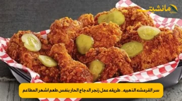 سر القرمشة الذهبية.. طريقة عمل زنجر الدجاج الحار بنفس طعم أشهر المطاعم